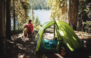 Camping tips and tricks for beginners